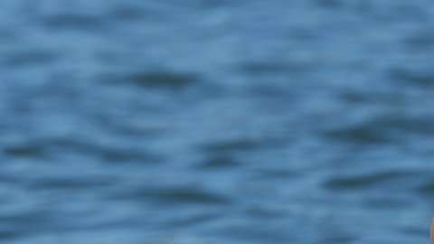 Zoe de Toledo reconoce que fue extraño pensar que el tumor había estado durante años allí, en cada momento de su vida.