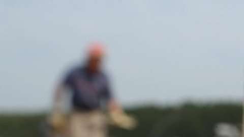 Recolectar estos espárragos es uno de los trabajos más difíciles del mundo. Getty Images