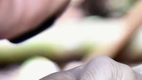 Los narcos  "invisibles" rara vez tocan un gramo de cocaína. Getty Images