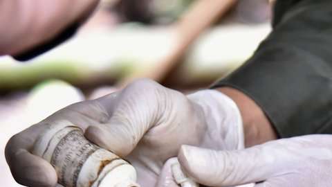 Los narcos  "invisibles" rara vez tocan un gramo de cocaína. Getty Images