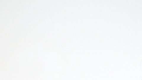 Natalie Portman, la actriz israelí-estadounidense, fue seleccionada para recibir el galardón Génesis, dotado de unos $2 millones.