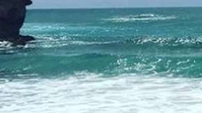 McWilliams sobrevivió el pasado jueves al ataque de un tiburón.