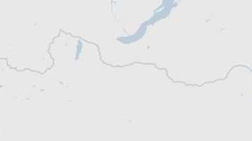 Estas unidades iniciaron la guerra biológica en más de 20 provincias y ciudades de China.