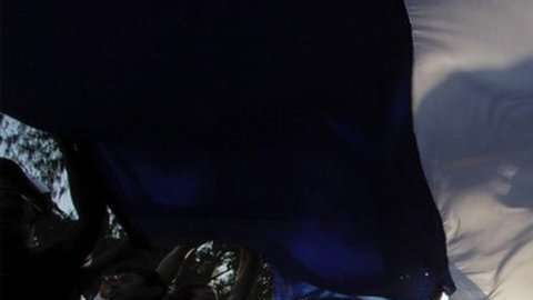 101033777_tv046375981