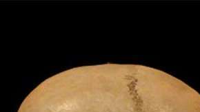 Las diferencias entre el cerebro de los humanos modernos y los neandertales pudo haber influido en su misteriosa extinción.