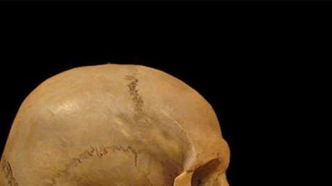 Las diferencias entre el cerebro de los humanos modernos y los neandertales pudo haber influido en su misteriosa extinción.