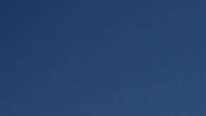 Los veteranos ondearon una bandera de EEUU.