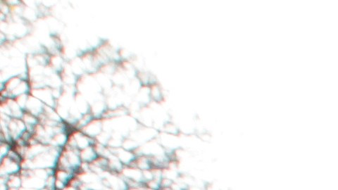 Organizaciones de derechos humanos calificaron de relevantes los nuevos datos surgidos en Estados Unidos sobre el caso de Ayotzinapa al señalar que exhiben las fallas de la versión oficial e impiden cerrar este caso.