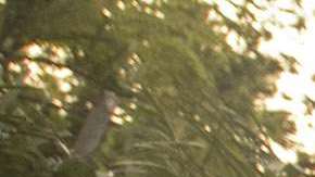 Un hombre maneja el traje  desde la cabina de control a diez pies de altura.