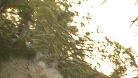 Un hombre maneja el traje  desde la cabina de control a diez pies de altura.