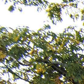 La Banda MS compite en los premios Billboard.