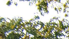 La Banda MS compite en los premios Billboard.