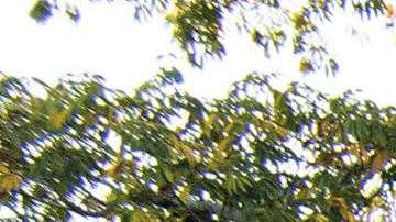 La Banda MS compite en los premios Billboard.