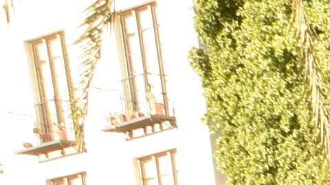 Inician marcha a Washington por los inmigrantes.