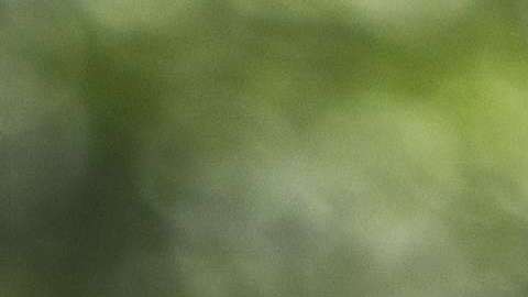 La popularidad del presidente Trump sigue en aumento.