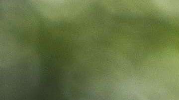 El presidente Trump celebró su nivel de aprobación.