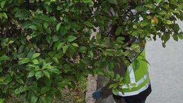 Policía de Murcia en el sitio del asesinato. EFE