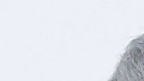 Se espera que Miguel Díaz-Canel continúa las políticas de los Castro, según expertos.