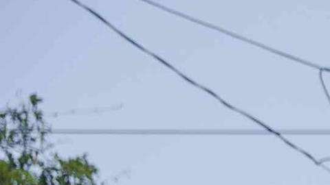 Un hombre protesta encima de un vehículo quemado.