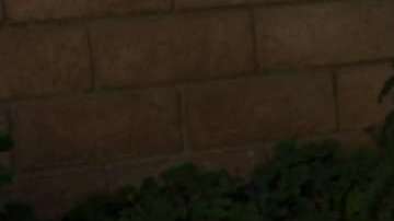 Andrea Osborn recibió miles de muestras de apoyo.