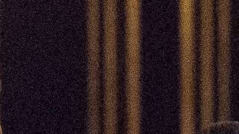 Selena Gomez y The Weeknd cuando todavía eran pareja.