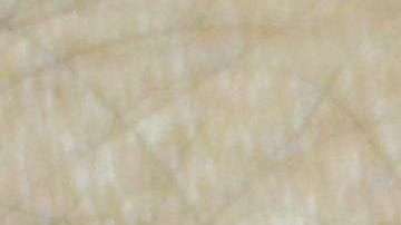 El reloj inteligente Apple Watch Series 2.