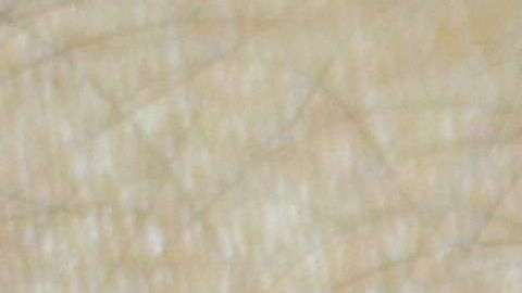 El reloj inteligente Apple Watch Series 2.