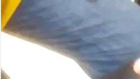 Por fortuna, la ardilla sobrevivió.