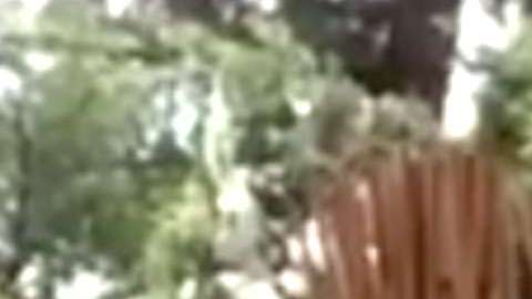 Atala Sarmiento aparecerá en "Hoy"