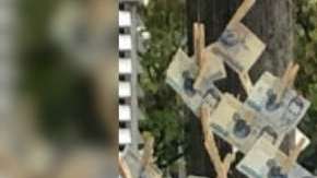 Árbol de billetes