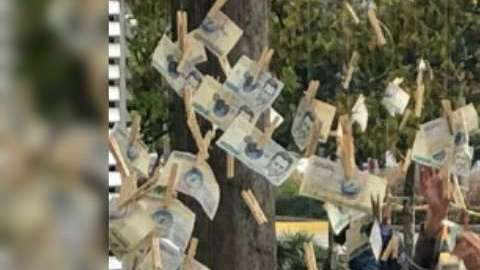 Árbol de billetes