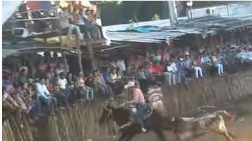 caballo