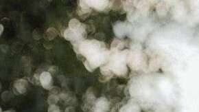 México vuelve al blanco y olvida el negro.