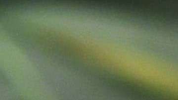 El 61% de los votantes aprueba la legalización de la marihuana, según una encuesta del Centro de Investigación Pew.