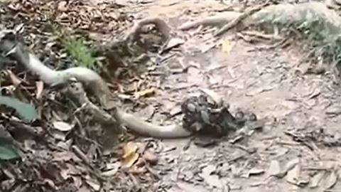 Llevaban varias horas entrelazadas.