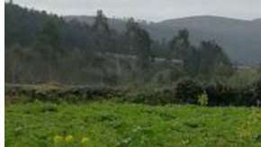 Ella es Dolores Leis, la campesina que se parece a Trump.