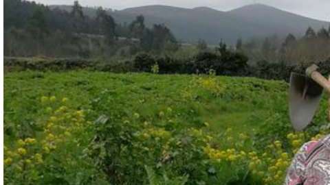 Ella es Dolores Leis, la campesina que se parece a Trump.