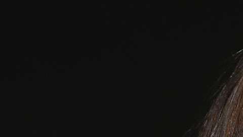 Dakota Johnson, actriz estadounidense.