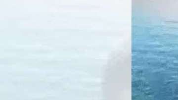 El DACA de permiso de Daniel Ramirez Medina vence el 4 de mayo.