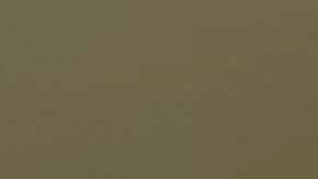 Adela Micha respondió al insulto de Daniel Bisogno