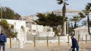 La ballena murió a causa de una peritonitis.