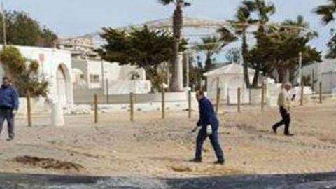 La ballena murió a causa de una peritonitis.