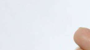 A pesar de su gran tamaño, es inofensivo.