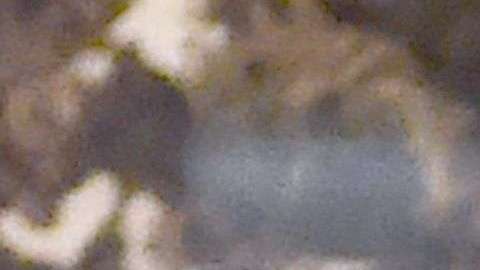 Donald Trump y Kanye West