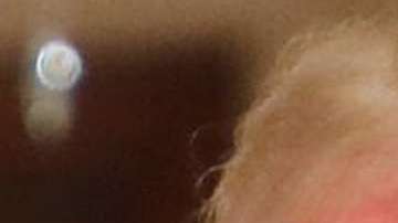 Donald Trump y Kanye West