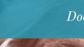 La página web sobre demanta colectiva contra Trump.