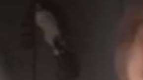 Drew Hogan escribió el libro "Hunting El Chapo" ("Cazando a El Chapo").