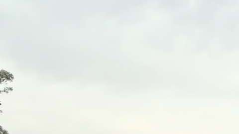 Andrés Manuel López Obrador, candidato presidencial