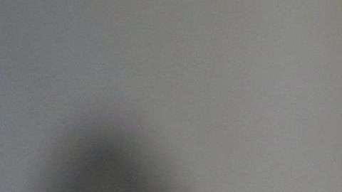 Eva Longoria recibe estrella en el Paseo de la Fama de Hollywood