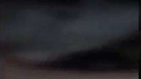 Los presos entrenan gatos para que ingresen cosas a la cárcel.